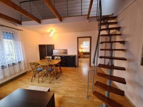 Apartament na poddaszu - Bielawa